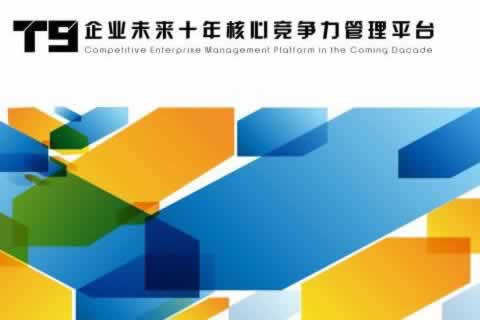 大中型企業(yè)應用-T9